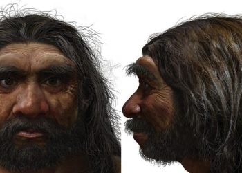 Crânio de 146 mil anos revela segredos do enigmático Homem-Dragão